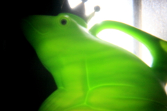 holga/カエル
