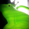 holga/カエル