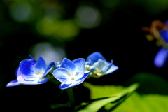 P1070364