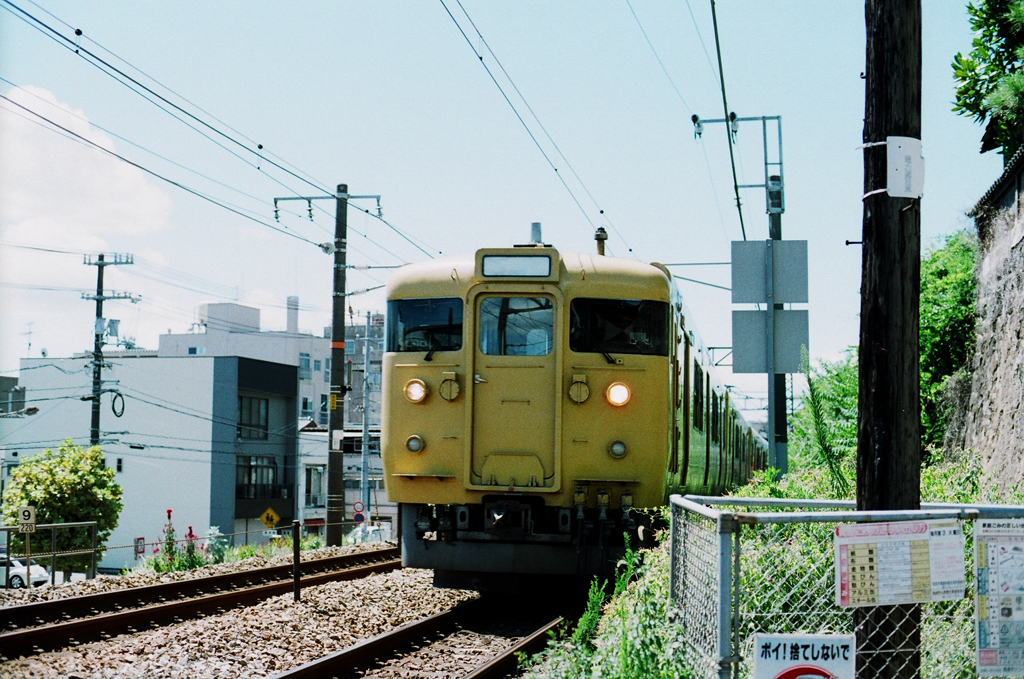 77560019