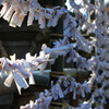 おみくじ（石清水八幡宮）