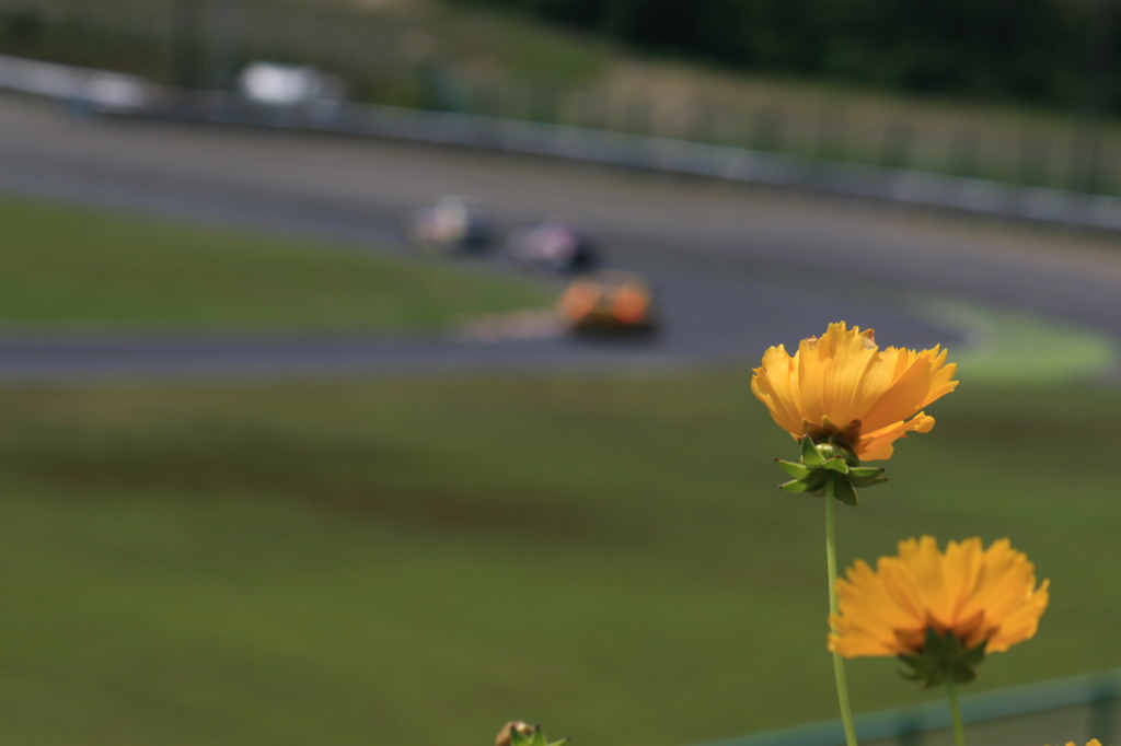 スプーンに咲く花