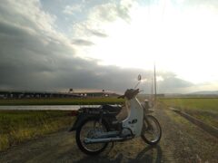 あぜ道