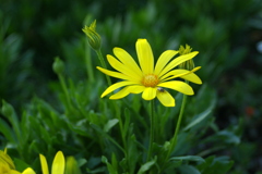 IMGP0012