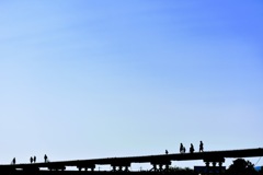 810_1184