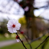 P1080351