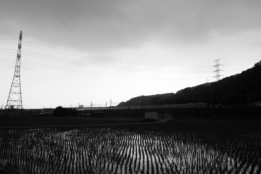P3150837
