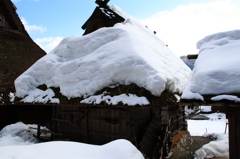 根雪