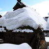 根雪