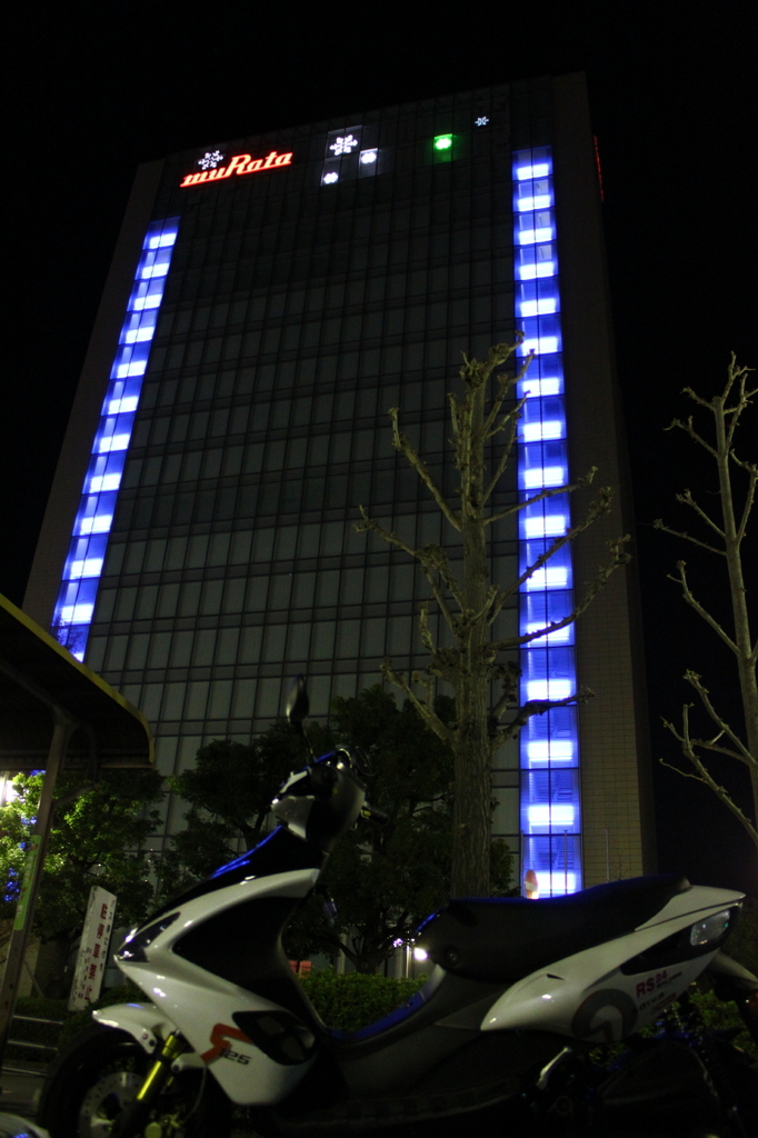 控え目なｲﾙﾐ