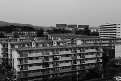 DSC_7652