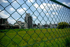 IMGP8670