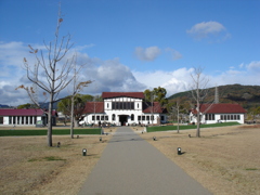 DSC00020