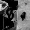 P2510754