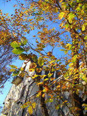 PICT0218