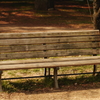 P1070093