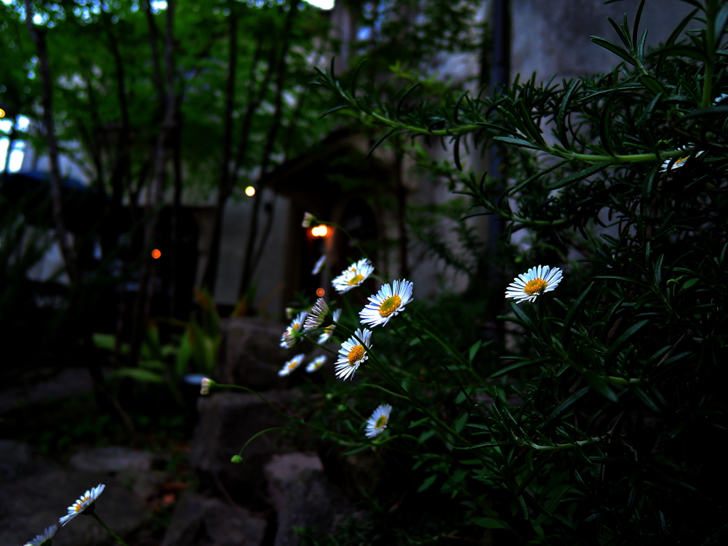 DSCN0975