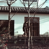 img20160102_035