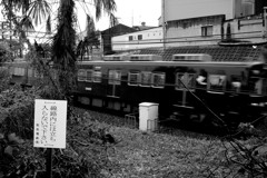 DSC01135