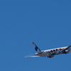 N0300431 