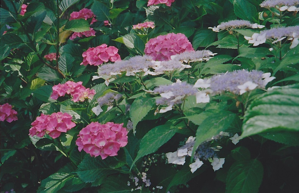 目測