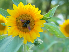 P6780020