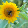 P6780020