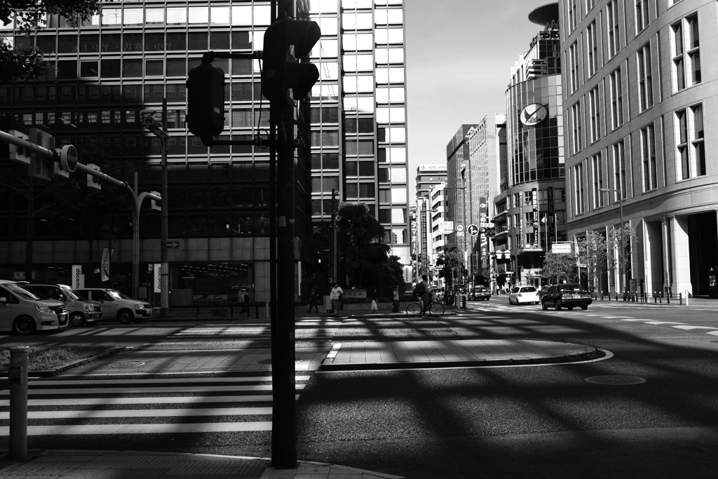 DSC_5349
