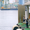 IMGP0190