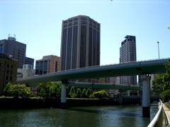 IMGP0443