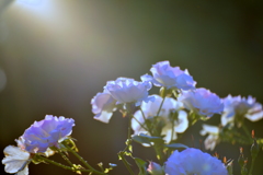 800_7777