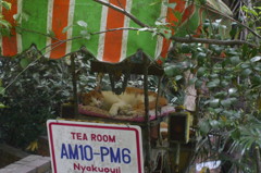 P1040533