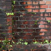 IMGP0113