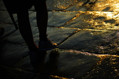 DSC_8277