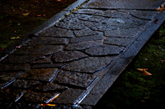 N0002145