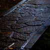 N0002145