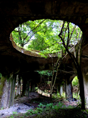 P6030001
