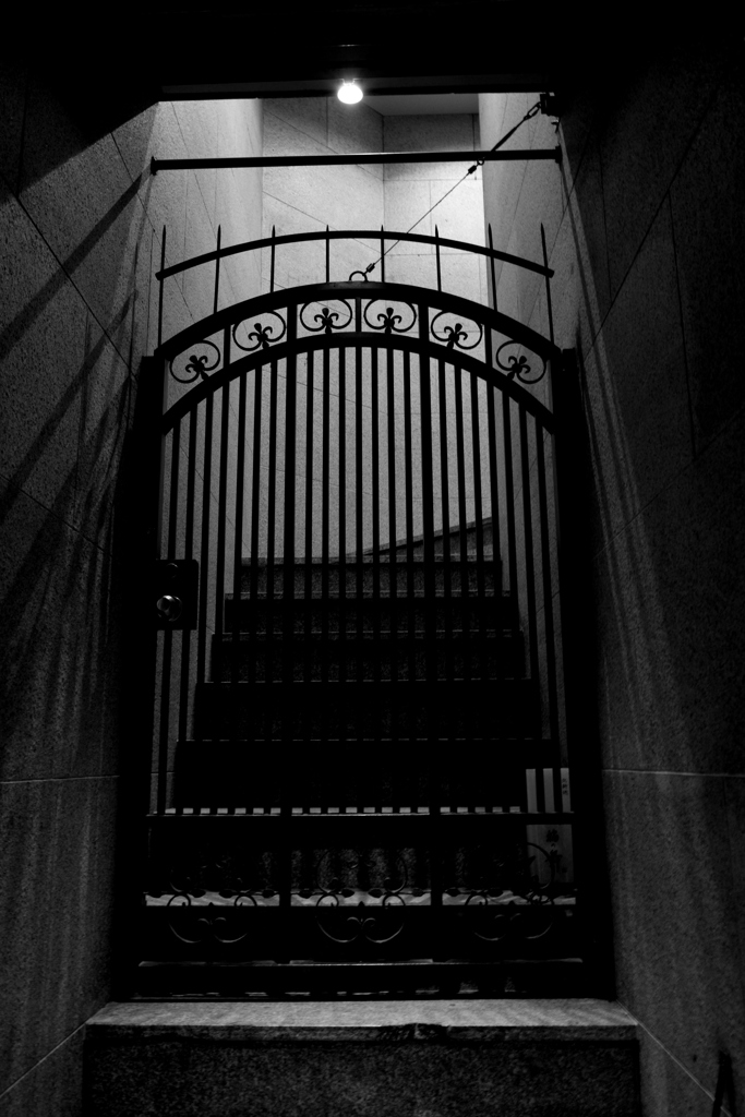 DSC_3604