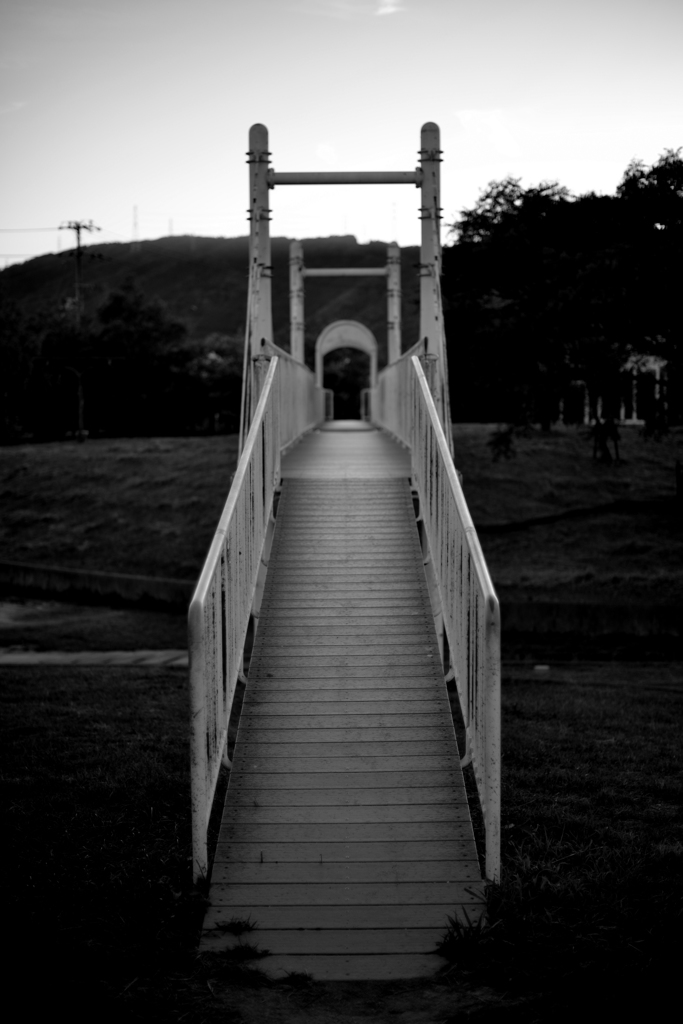 DSC_1893