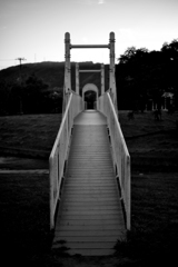 DSC_1893
