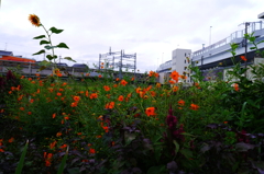 P1080057