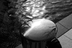 P1450980 P1450980