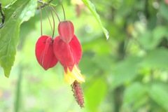 P4410116