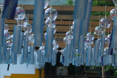 IMGP0022