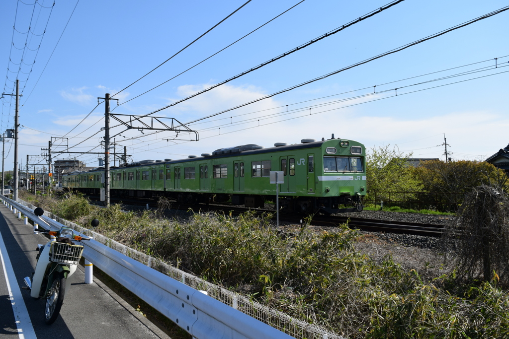 DSC_5668