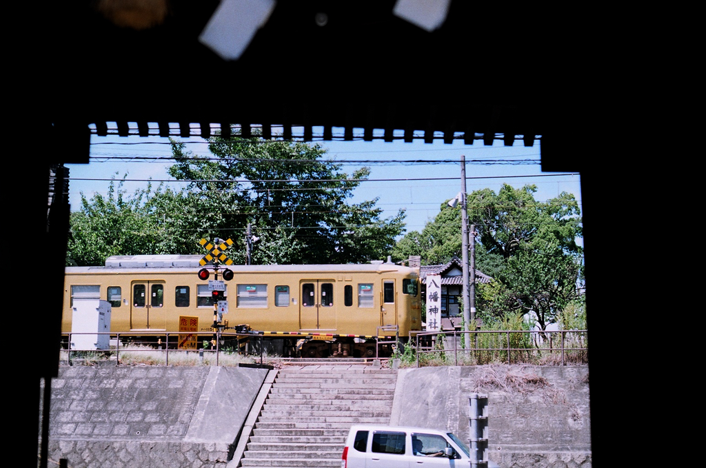 77560026