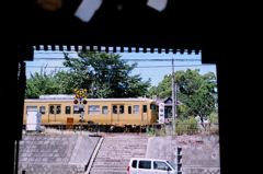 77560026