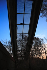 IMG_0834