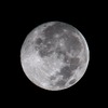 FULLMOON