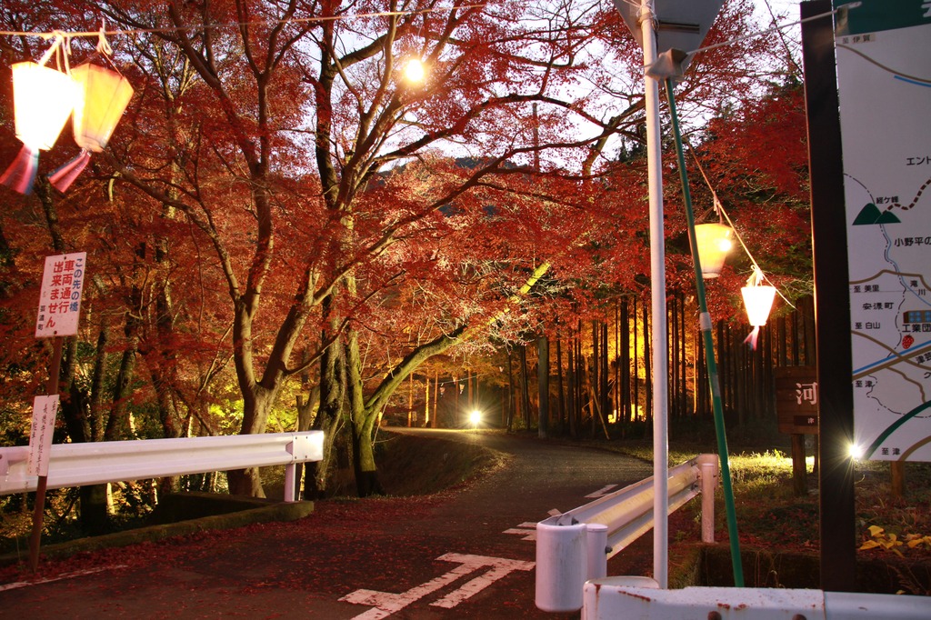紅葉ライトアップ入り口